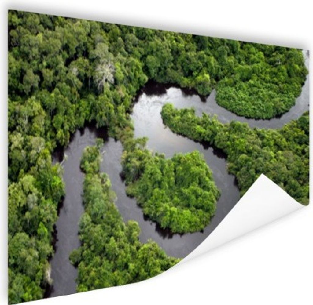MuchoWow Poster Regenwald und Amazonas Brasilien 180x120 cm - Fotoplakat