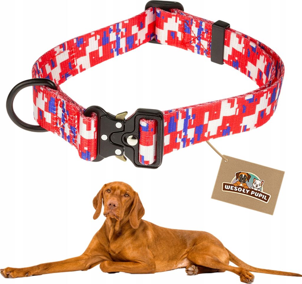Mittelgroßes Hundehalsband POWERFUL METAL Schnalle verstellbar M 46-55cm