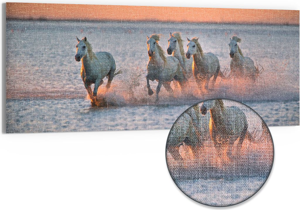 DEQORI Hybrid Leinwand Bild 125x50 cm 'Abendliche Freiheit' Wandbild Glas flach modern