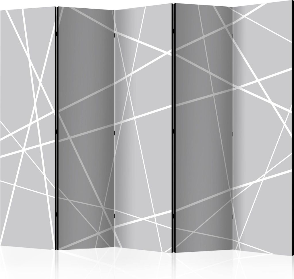 5-teiliger Doppelseitiger Vlies Paravent - Modern Cobweb II 225x172 cm Muster a-A-0222-z-c