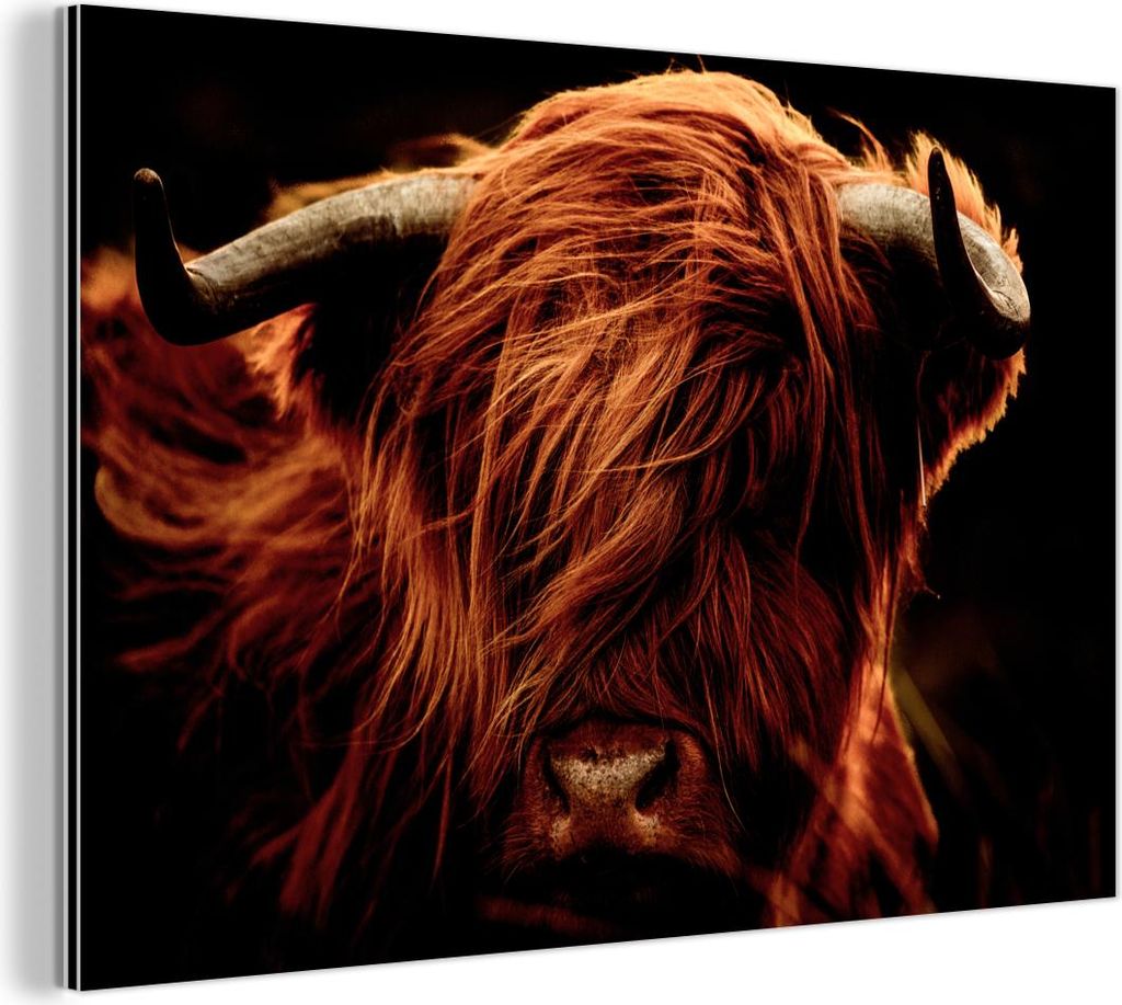 MuchoWow Wanddekoration Metall Metallbild Wandkunst 120x80 cm Schottisches Hochlandrind - Kuh - Hörner - Porträt - Tiere MuchoWow Aluminium Gemä...