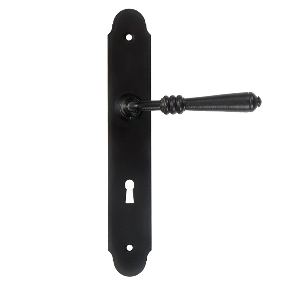 A black door handle set with a long backplate and a keyhole.