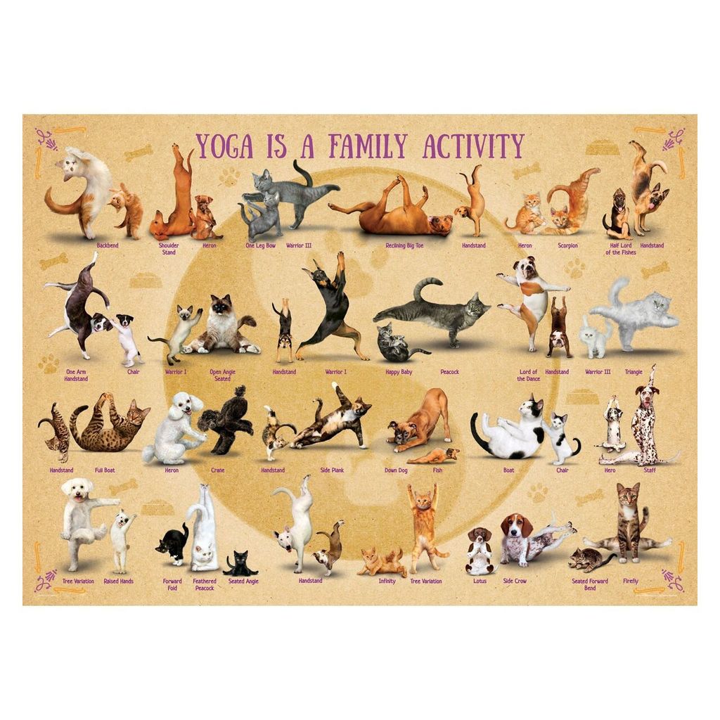 EUROGRAPHICS Puzzle Yoga ist eine Familienaktivität XL 500 Teile