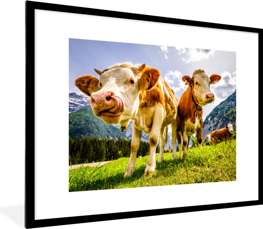 MuchoWow Gerahmtes Poster Kühe - Berge - Gras - Landschaft - Alpen 80x60 cm - Poster mit Schwarzem Bilderrahmen Wandposter Rahmen Foto Bilder - ...