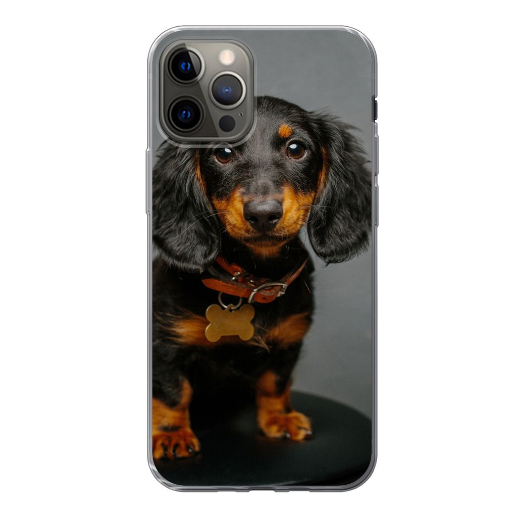 MuchoWow Handyhülle Schutzhülle Hülle für iPhone 12 Pro Studiofoto eines Dackelwelpen Silikon Softcase Handy Hülle - Abdeckung