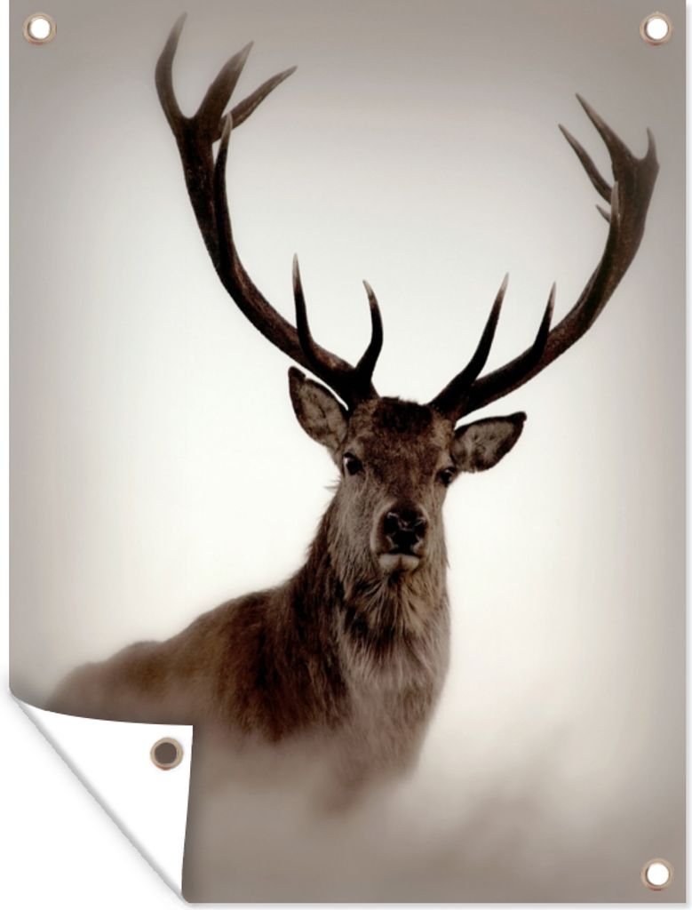 MuchoWow 60x80 cm Outdoor-Poster Gartendeko Sichtschutz Garten Poster für den Garten Porträt - Hirsch - Geweih