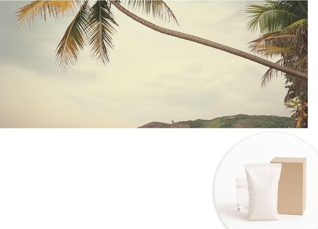 Fototapete - Wandbilder für Wohnzimmer - 208x146 cm - Dekorative Wandfolie - Modernes Design für Wanddekoration - Tapeten für Innenräume - Trop...