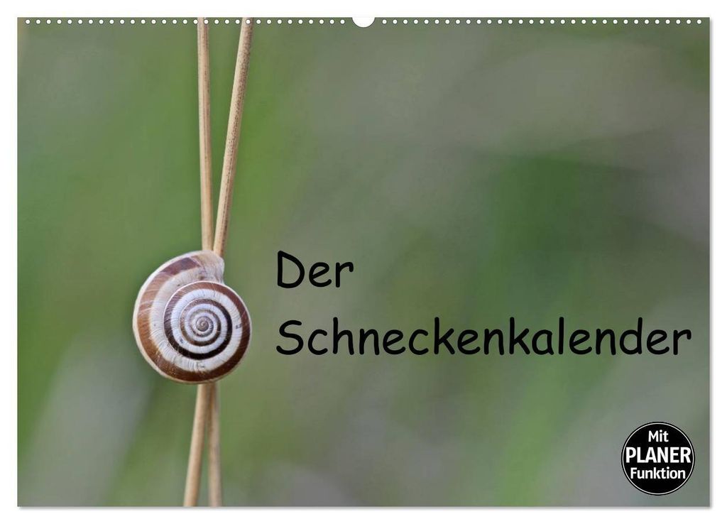 Der Schneckenkalender (Wandkalender 2027 DIN A2 quer), CALVENDO Monatskalender