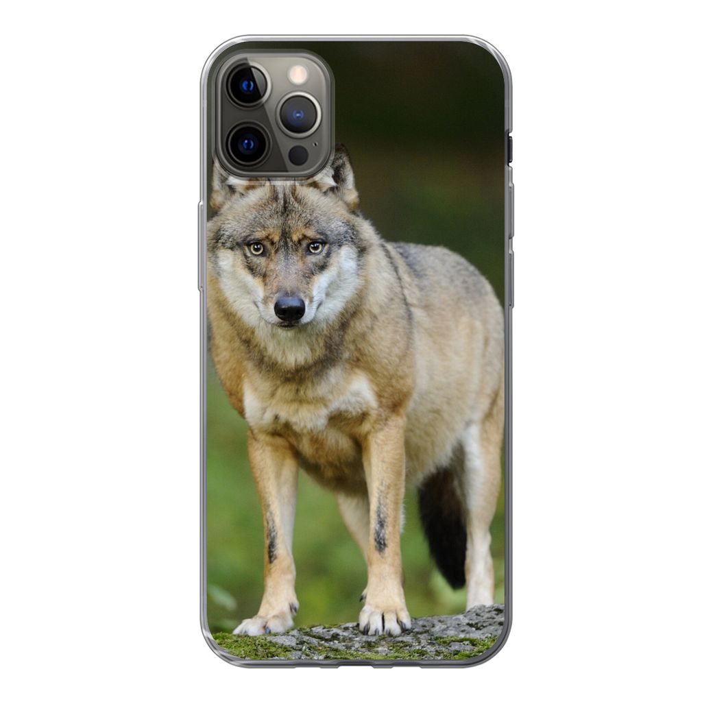MuchoWow Handyhülle Schutzhülle Hülle für iPhone 12 Pro Max Wolf - Asien - Pflanzen Silikon Softcase Handy Hülle - Hartschale