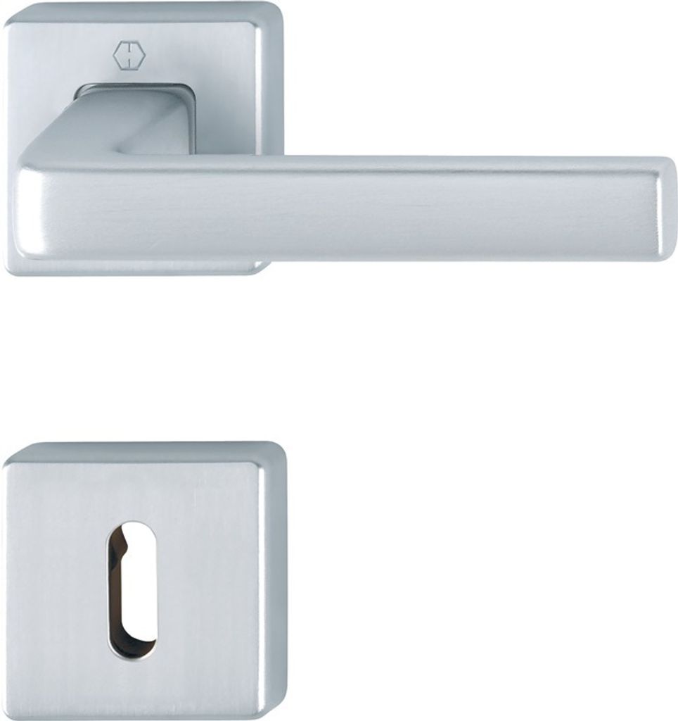 A silver door handle and escutcheon plate are shown against a white background.