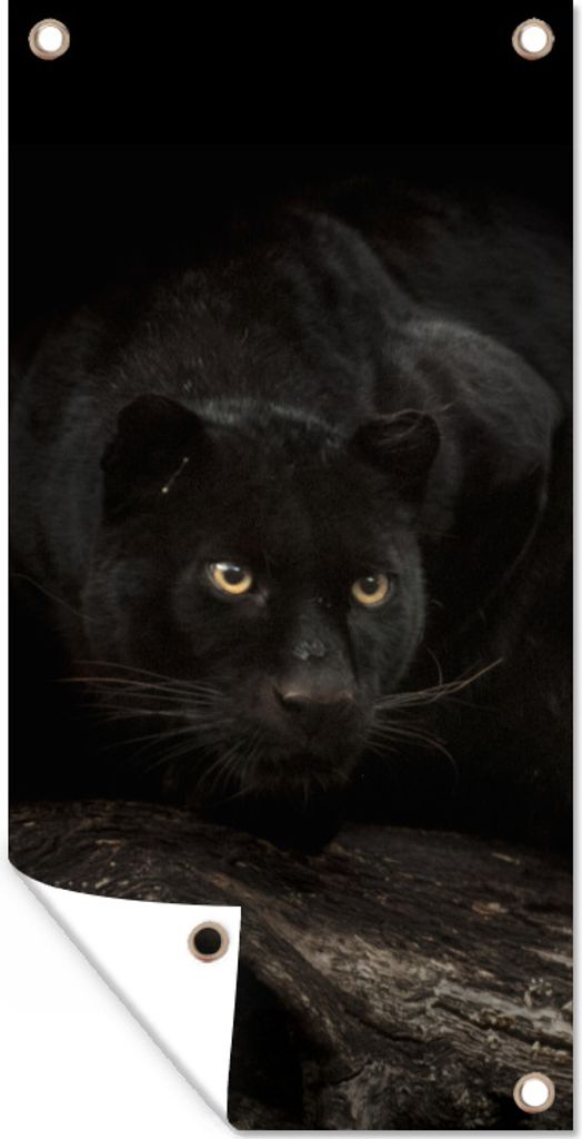 MuchoWow 40x80 cm Outdoor-Poster Gartendeko Sichtschutz Garten Poster für den Garten Panther - Wald - Augen