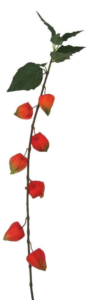 Kunstblume PHYSALIS, 93cm. Blasenkirsche, Judenkirsche in ORANGE