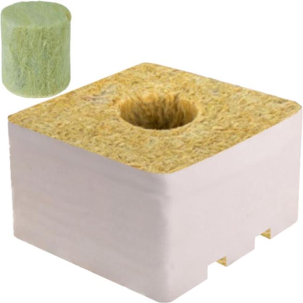 1000x Stecklingsstopfen 36x40 + 100x Zuchtwürfel Cannabis 10x10x6,5cm Hydro