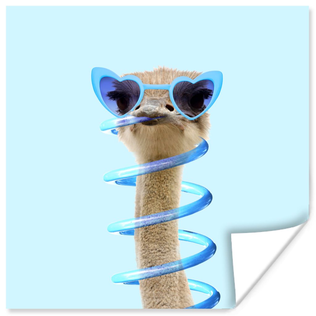 MuchoWow Poster Strauß - Sonnenbrille - Blau - Tiere 30x30 cm - Wandposter - Printing
