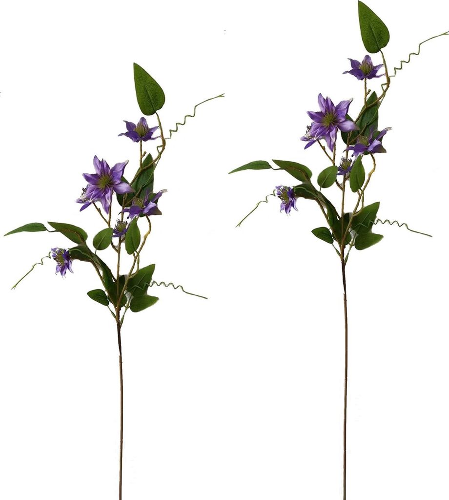 Clematis Lila 2er Set 89 cm NTK-Collection