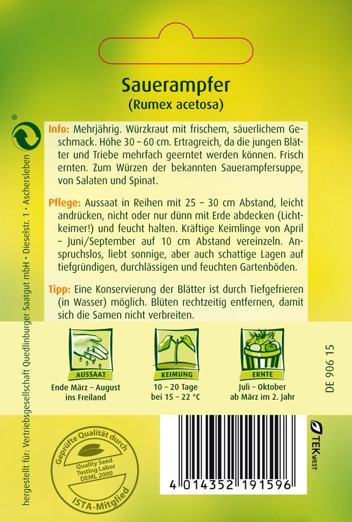 Sauerampfer Krutersamen