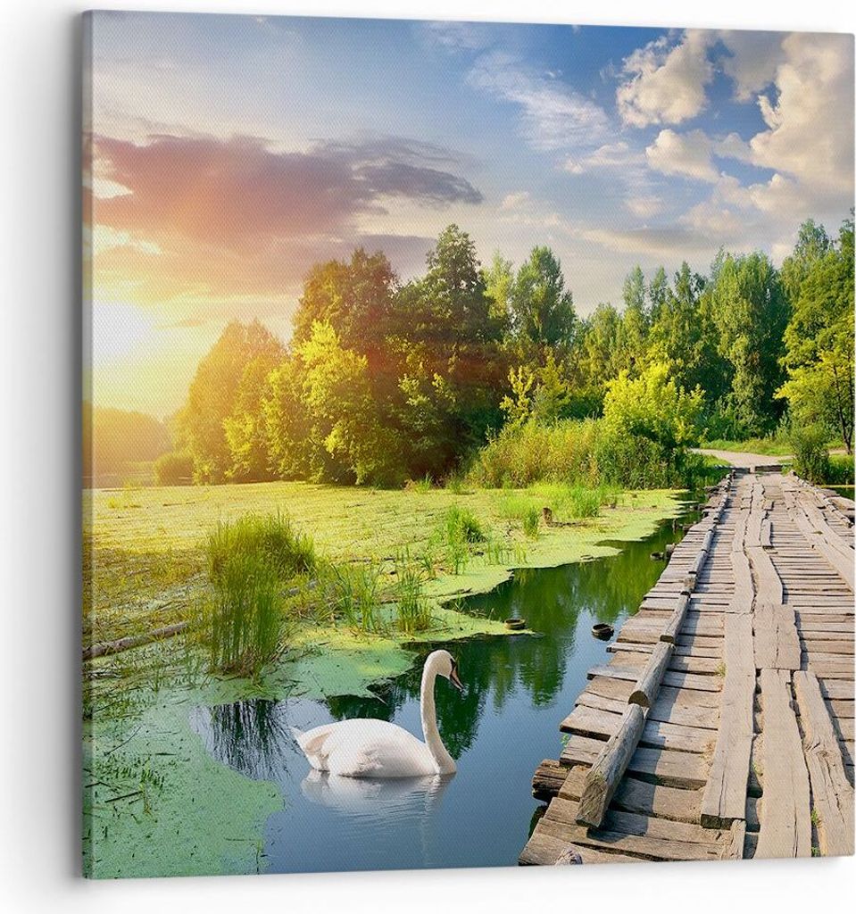 Bild auf Leinwand - Leinwandbild - Architektur Promenade Schwan Landschaft - 70x70cm - Wand Bild - Wanddeko - Leinwanddruck - Bilder - Kunstdruck -...