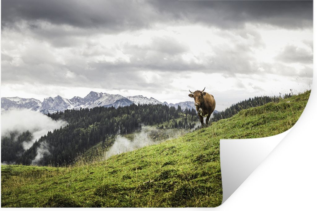 MuchoWow Wandtattoo Wandsticker Wandaufkleber Kuh - Tier - Herbst 90x60 cm Selbstklebend und Repositionierbar - Aufkleber