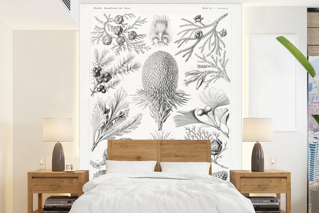 MuchoWow Fototapete für Wohnzimmer oder Schlafzimmer Wandtapete Vinyl Motivtapete Koniferen - Ernst Haeckel - Kunst - Retro - Illustration - Nat...