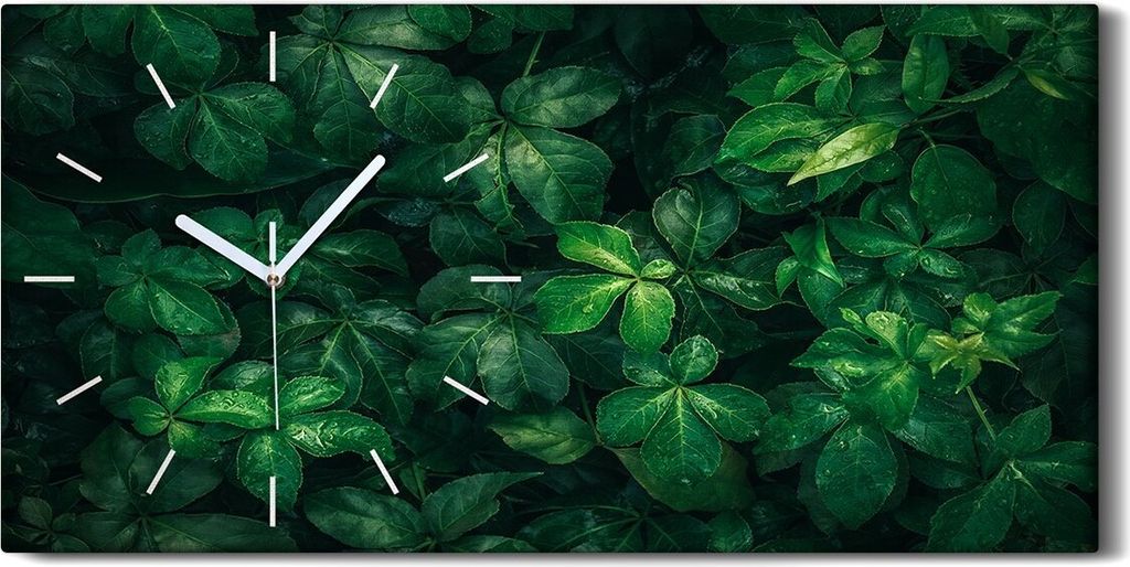 Wanduhr Uhr Wandbild Leinwand Geräuschlos Kunstdruck 60x30 Blatt Blüten Blätter - weiße Hände