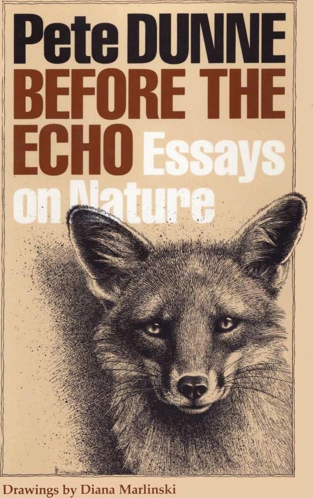 Before the Echo