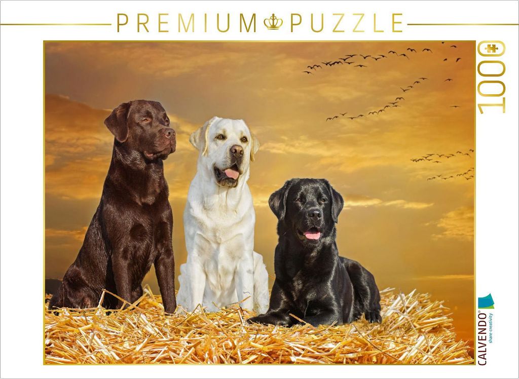 CALVENDO Puzzle Ein Motiv aus dem Kalender Labrador Retriever - Ein Freund für ́s Leben | 1000 Teile Lege-Größe 64x48cm Foto-Puzzle für glückl...