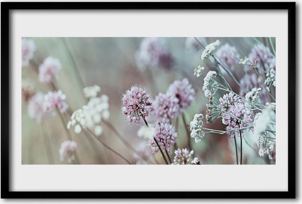 Bild 60x40 MDF-Rahmen Wandkunst Blumen Wildblumen Wiese Natur
