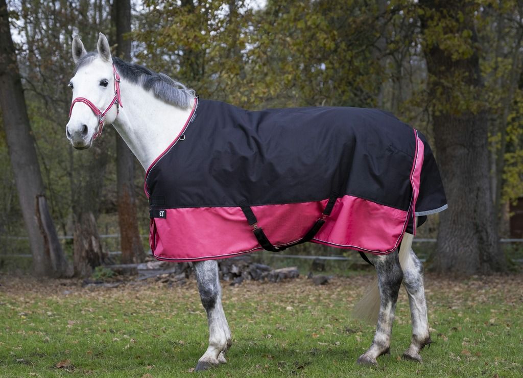 EQUITHÈME TYREX 1200 D Decke Weidedecke Outdoordecke 0g, Farbe:schwarz/himbeere, Größe:Rückenlänge 155 cm Polyfil 0 g