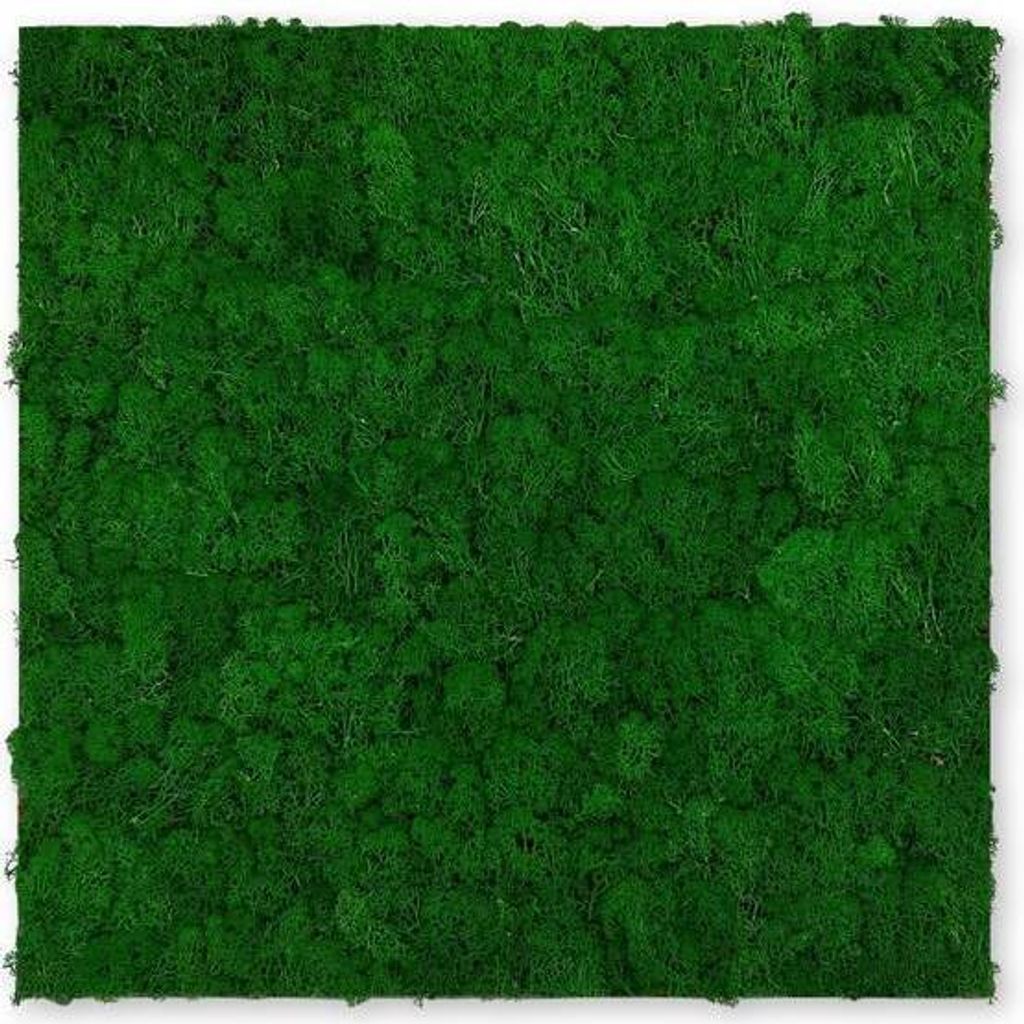 JANGAL Modular Wall Akustik 3D Paneele  520 x 520 mm Nature Produktbild 