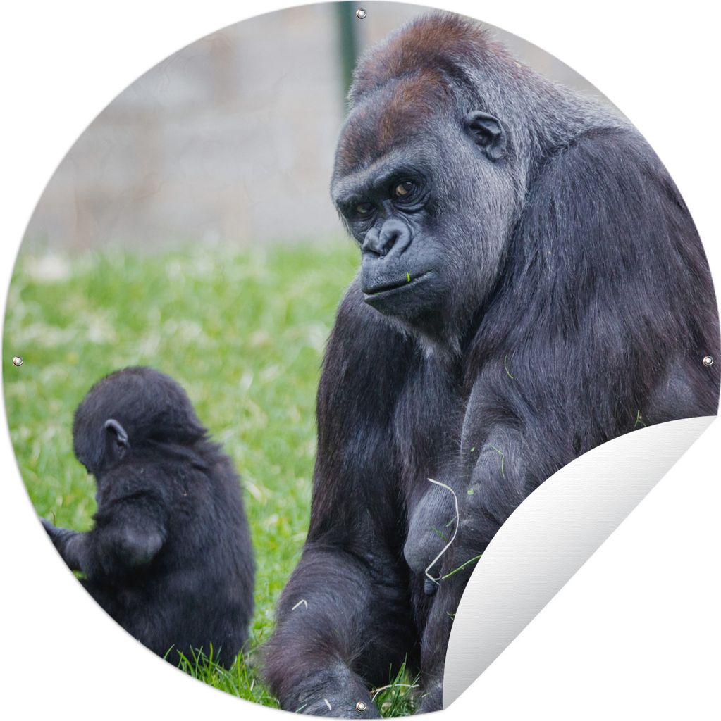 MuchoWow Gartenposter Outdoor-Poster Rund Ein großer Gorilla mit seinem Baby Ø 120 cm Gartendeko Rundes Poster draußen