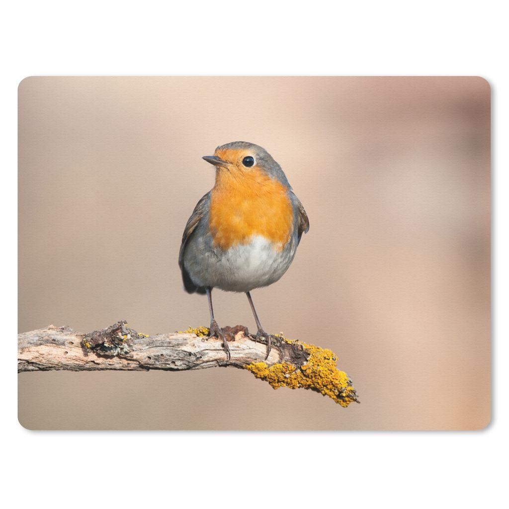 MuchoWow Mauspad Mousepad Rotkehlchen - Vogel - Zweig - Tiere 40x30 cm - Mousepads - Maus Mat - Pad - Mausunterlage - Anti Rutsch
