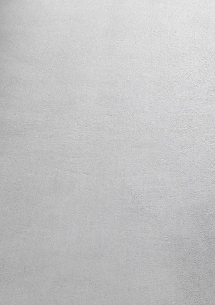 Kurzflor Teppich SKY Silber 240 x 340 cm