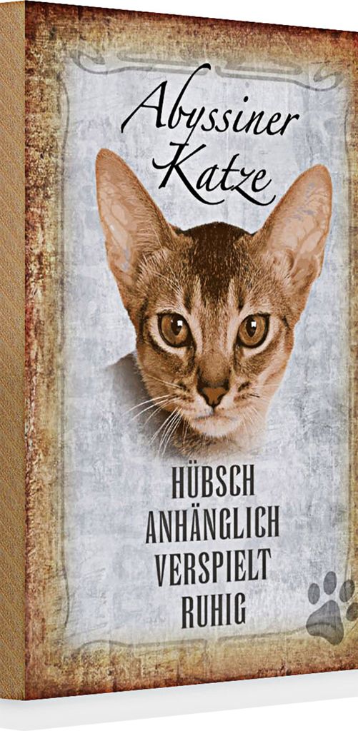 Holzschild Spruch 20x30cm Abyssiner Katze hübsch verspielt