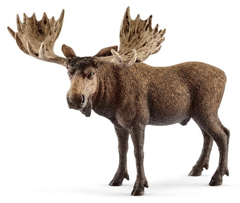 Schleich - Tierfiguren, Elch Bulle; 14781 Produktbild 