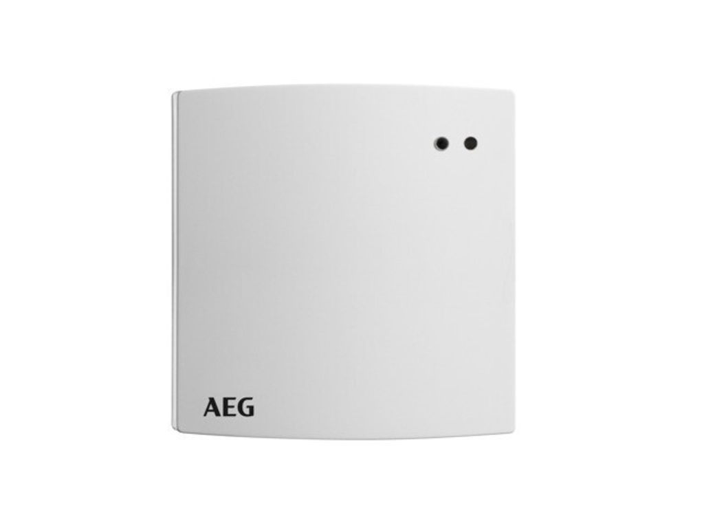 AEG Funkempfänger AP RTF-E AP (233865)
