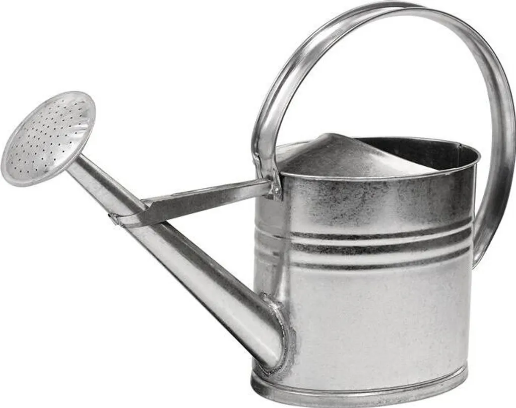 Arrosoir HANDLOWO galvanisé 10 l - 02OW10L pour un jardinage authentique