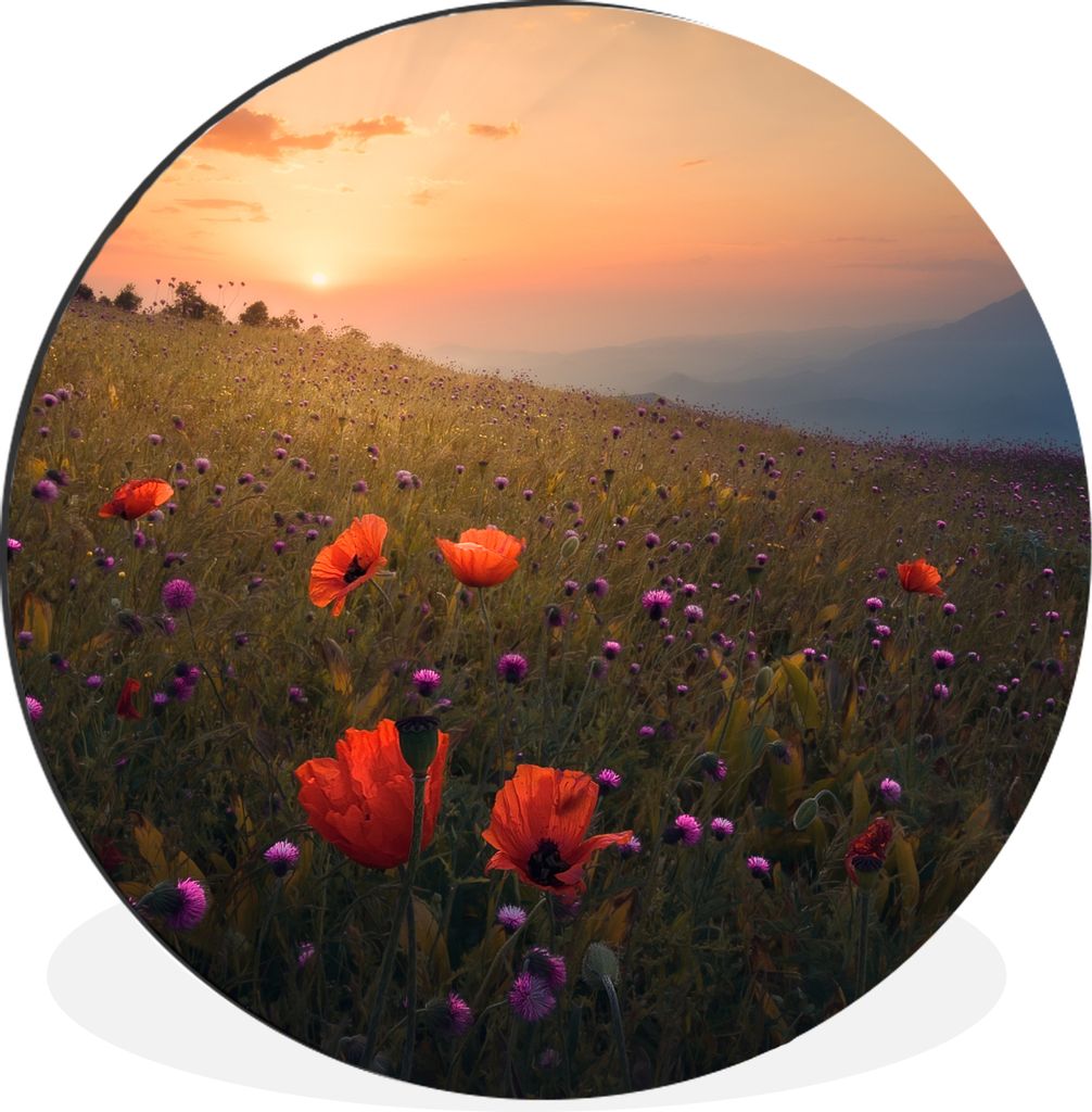 MuchoWow Aluminium Wandkreis Blumenfeld - Gras - Pflanzen - Sonnenuntergang - Orange Ø 60 cm Wanddeko Modern Wohnzimmer - Wand Kreis - Wandbild ...