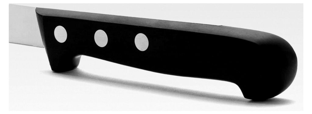 Lachs- und Fischmesser mit Edelstahlklinge 290 mm - Ergonomischer Griff aus Polyoxymethylen (POM), Lange und robuste Klinge mit Wellenschliff, Schn...