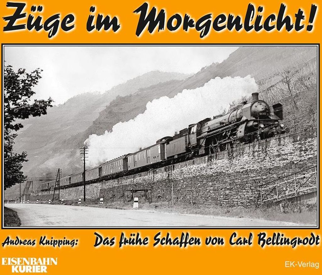 Züge im Morgenlicht