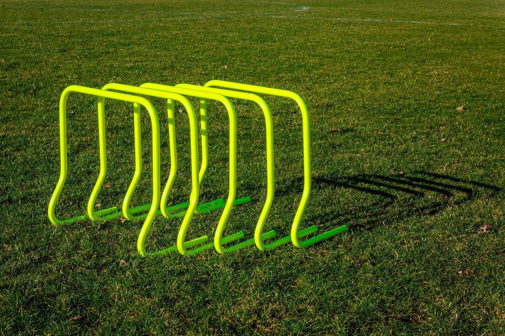 Set di 5 siepi - 45 cm Immagine del prodotto 