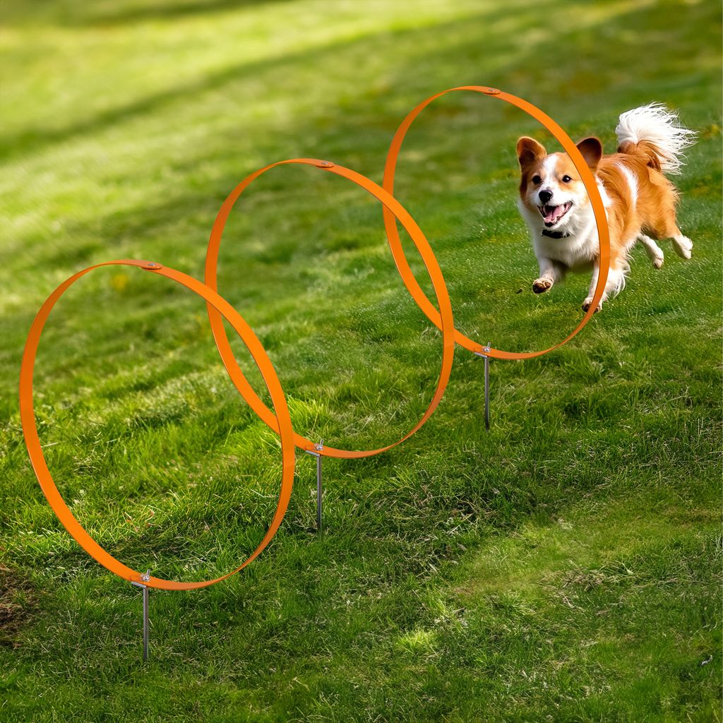 Navaris 3x Ring Agility Set Hunde klein und mittelgroß - 3er Hunde Agility Set - 3 Ringe für Hundesport Hundeparcour - Hunde Training Zubehör -