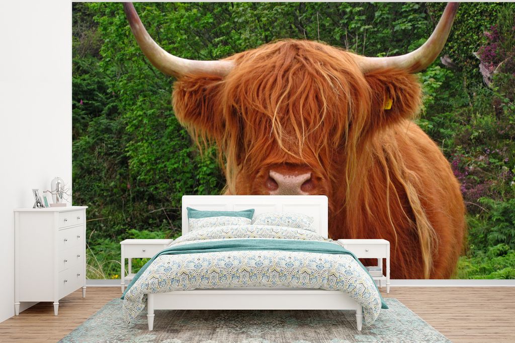 MuchoWow Fototapete für Wohnzimmer oder Schlafzimmer Wandtapete Vinyl Motivtapete Schottischer Highlander - Kuh - Gras - 320x240 cm - Tapeten