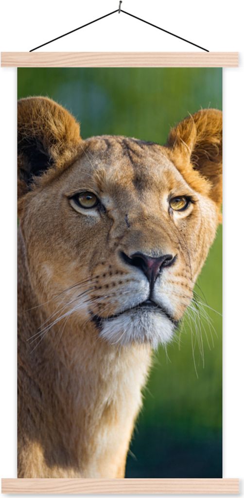 MuchoWow Textilposter Porträt - Löwe - Wild 60x120 cm mit holzfarbenen Rahmen - Holz