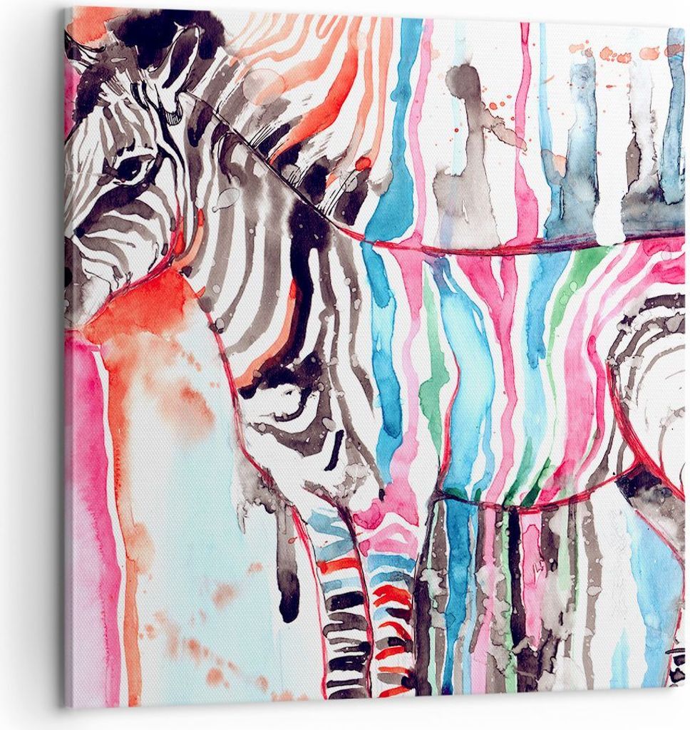 Bild auf Leinwand - Leinwandbild - Zebra Tiere Natur bunte - 60x60cm - Wand Bild - Wanddeko - Leinwanddruck - Bilder - Kunstdruck - Wanddekoration ...