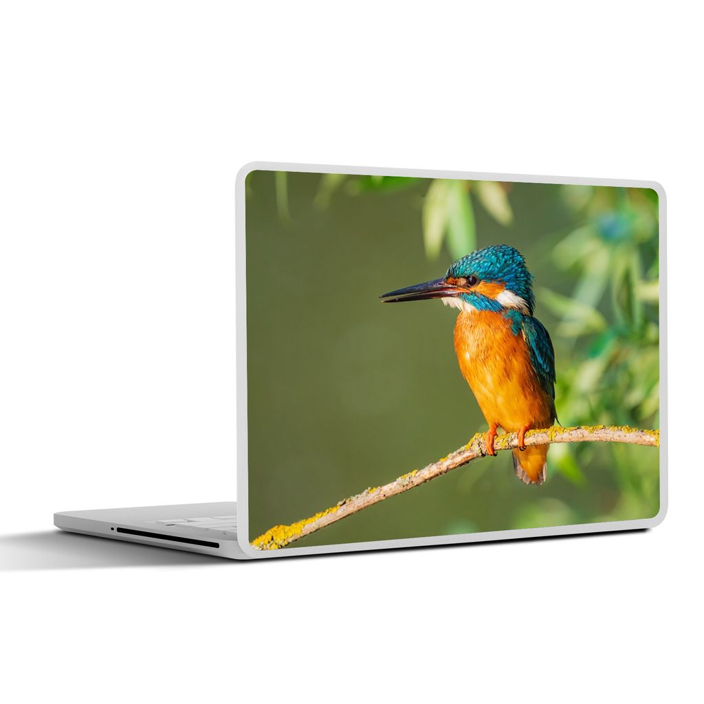 MuchoWow Laptop Aufkleber Sticker Cover Vogel - Eisvogel - Zweig - Blätter - Moos 30x22 cm - Laptop-Sticker