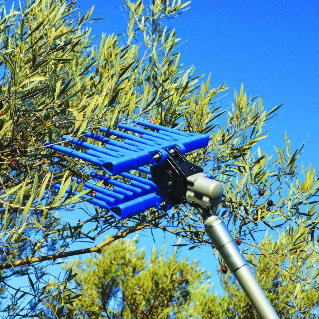 Secoueur récolteur d'olives pneumatique : fini la fatigue des récoltes - 2