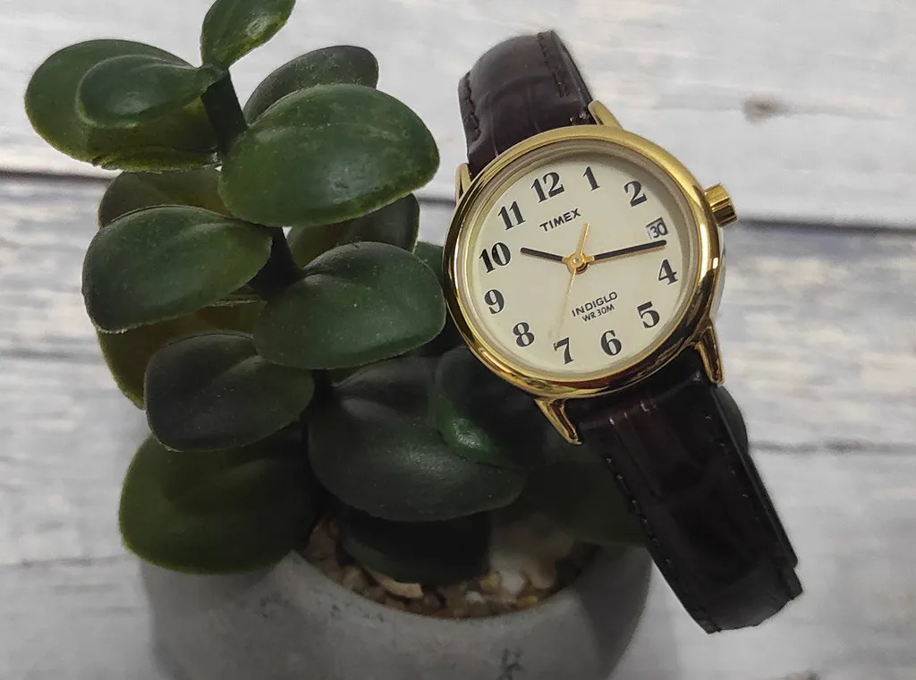 Orologio Timex T20071 Easy Reader Donna - Elegante Pelle Marrone e Oro - 24