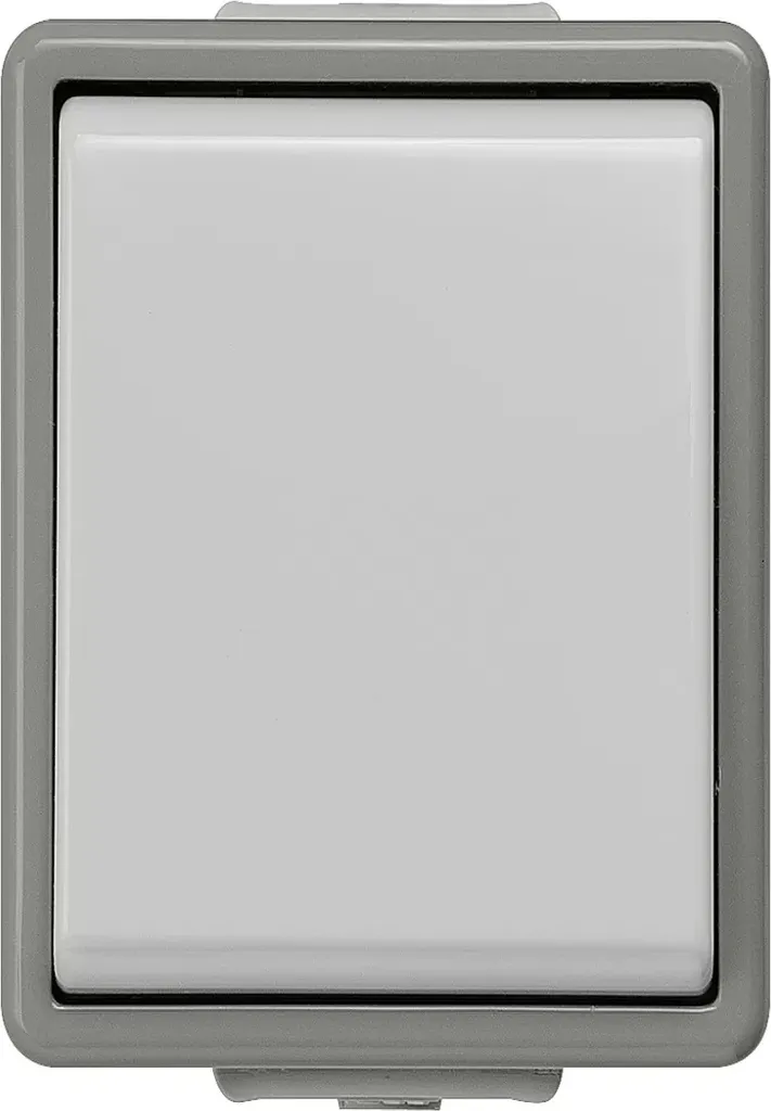 Interrupteur de Commande en Saillie Gris Delta Unipolaire pour Mur