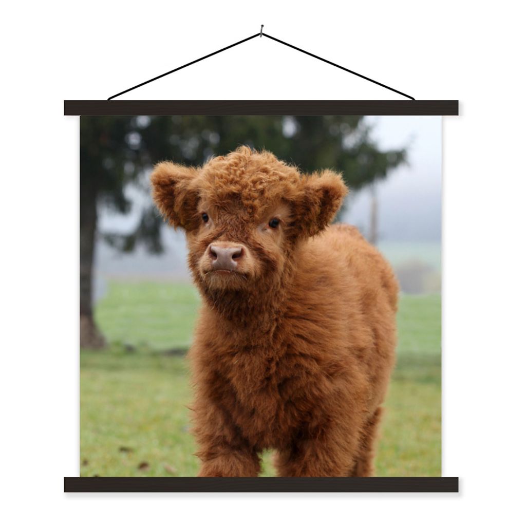 MuchoWow Textilposter Schottische Highlander - Gras - Natur 90x90 cm mit schwarzem Rahmen - Magnetisches