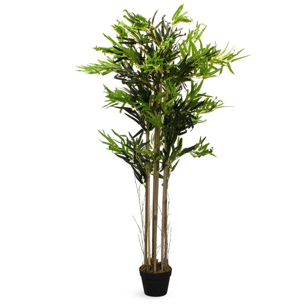 Dekorativní rostlina 150 cm - Model: BIG Bamboo Obrázek produktu 